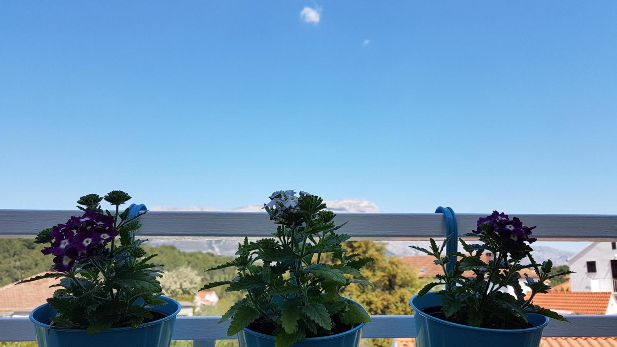 Apartman Lucija กอร์จูลา ภายนอก รูปภาพ