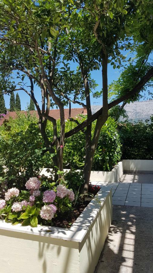 Apartman Lucija กอร์จูลา ภายนอก รูปภาพ
